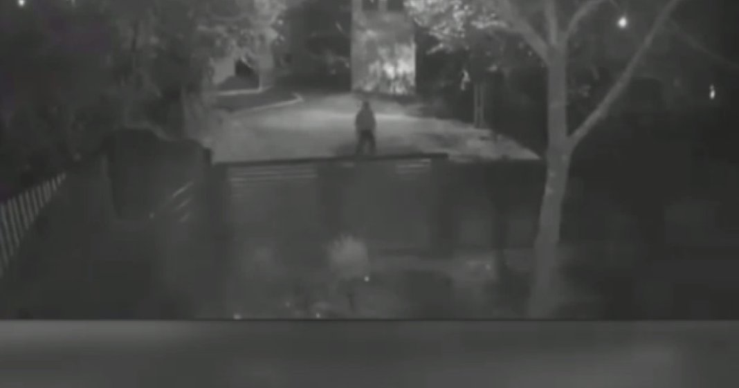 Serioase neregularități în cazul femeii ucise de soț în Teleorman: Procurorul responsabil, investigat disciplinar