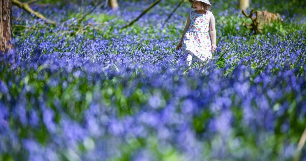 Prognoza meteo pentru următoarele 4 săptămâni: specialiștii în meteorologieAnticipă temperaturi superioare mediei normale.