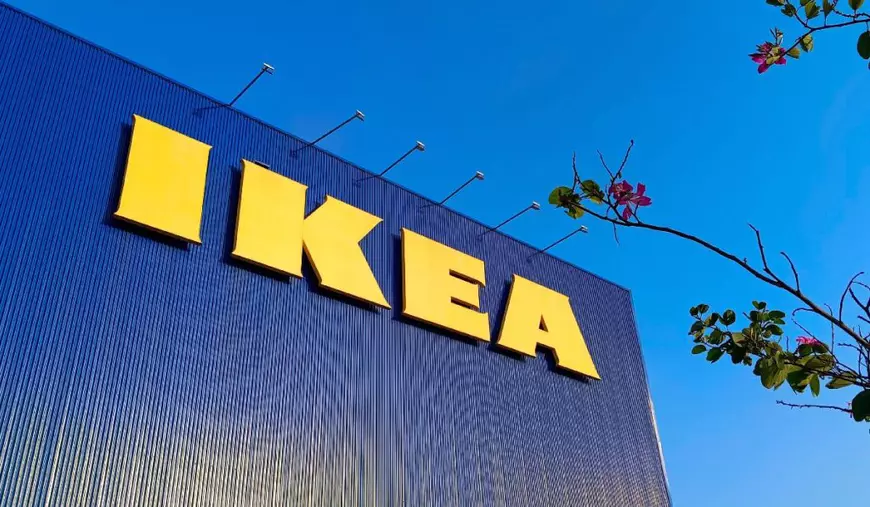 CEO-ul unei importante organizații de afaceri pune România pe același palier cu criza din Grecia: „Vânzările au avut o cădere abruptă” CEO-ul unei importante organizații de afaceri pune România pe același palier cu criza din Grecia: „Vânzările au avut o cădere abruptă”